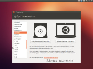 Первоначальное окно при установке Ubuntu 12.10