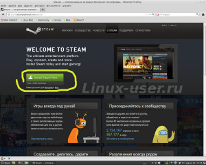 Загружаем steam для linux игр с офицального сайта