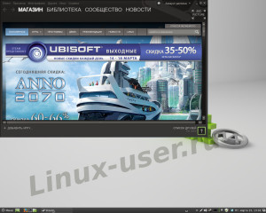 Запускаем steam игры в Linux Mint 14
