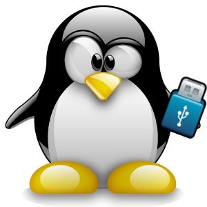 Записываем на флешку Linux