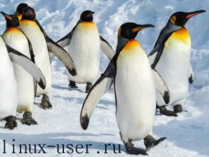 Какими особенностями обладает операционная система Линукс?