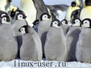 Какими особенностями обладает операционная система Линукс?