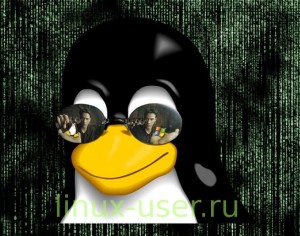 Скрываем свой ip в ос Linux