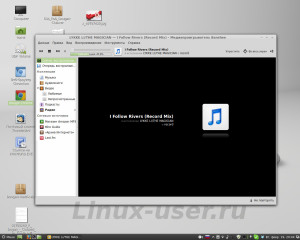 Работа аудио-видео проигрывателя Banhee в Linux Mint 14 Cinnamon