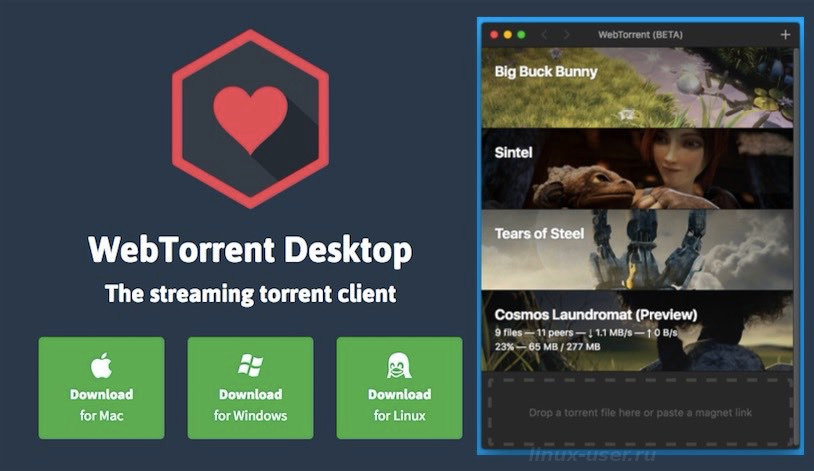 webtorrent_desktop