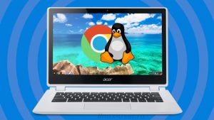 Запуск Linux-приложений в Chrome OS