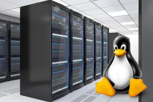 Особенности и преимущества аренды виртуальных серверов Linux