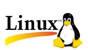 Курсы Linux с нуля